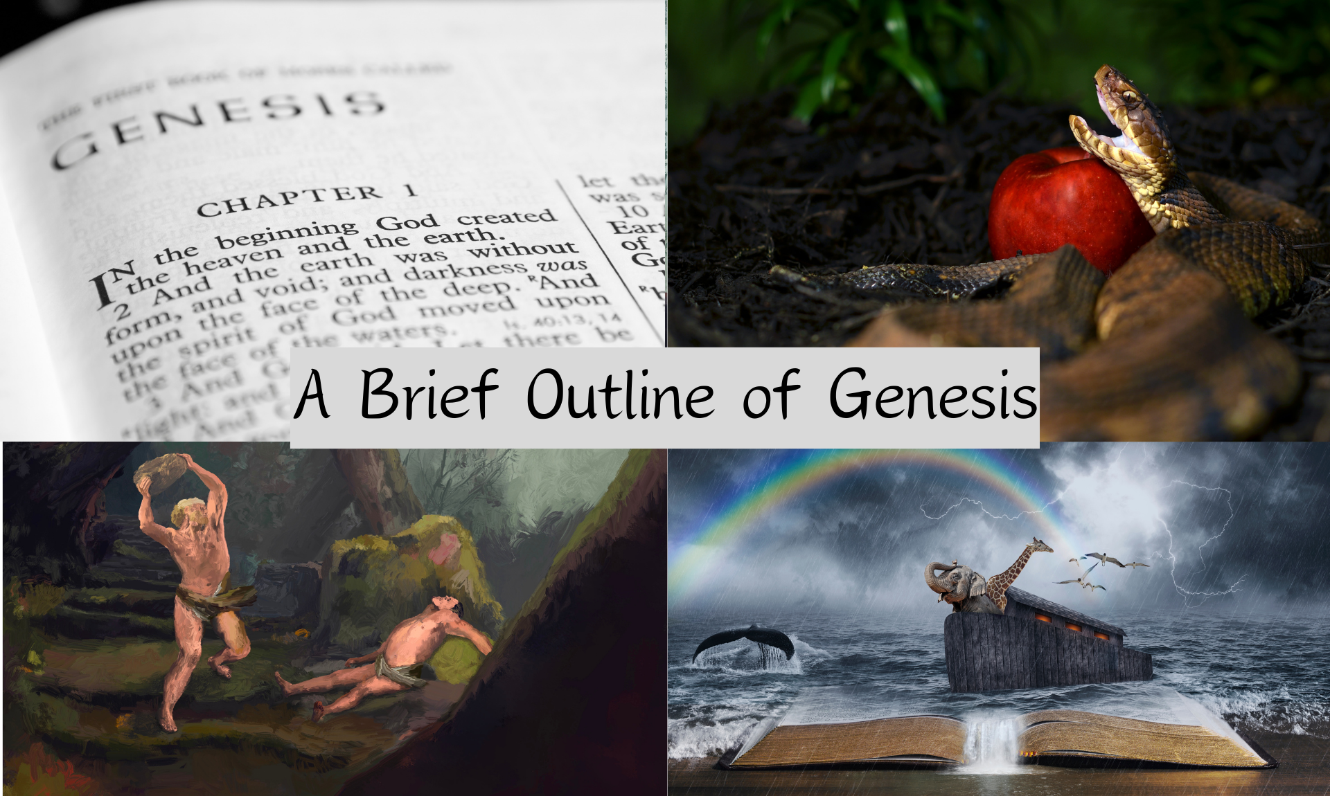 A Brief Outline of Genesis